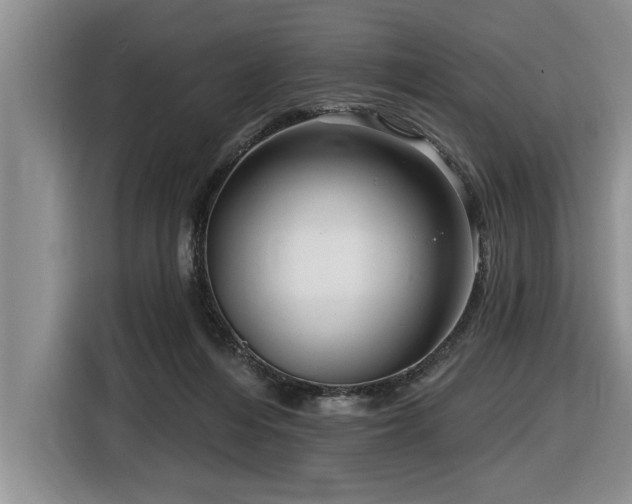 X0000116550216200912101421