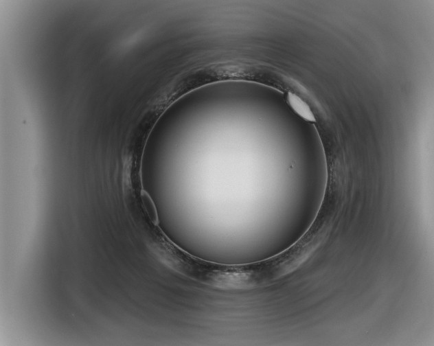 X0000116550217200912101421