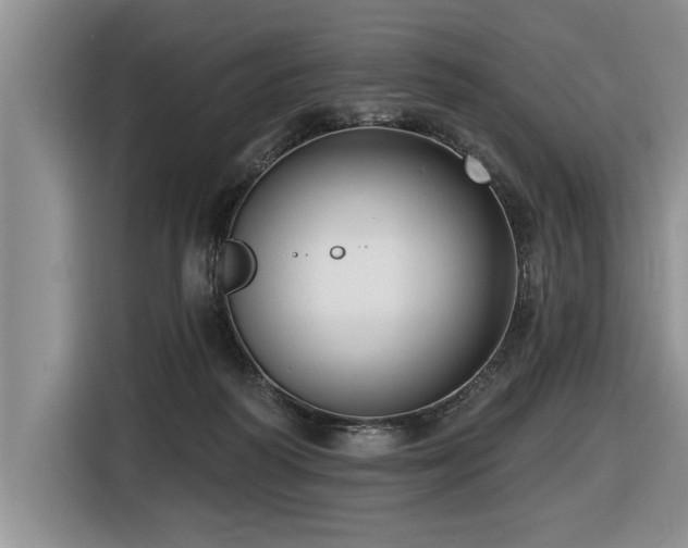 X0000116550218200912101421