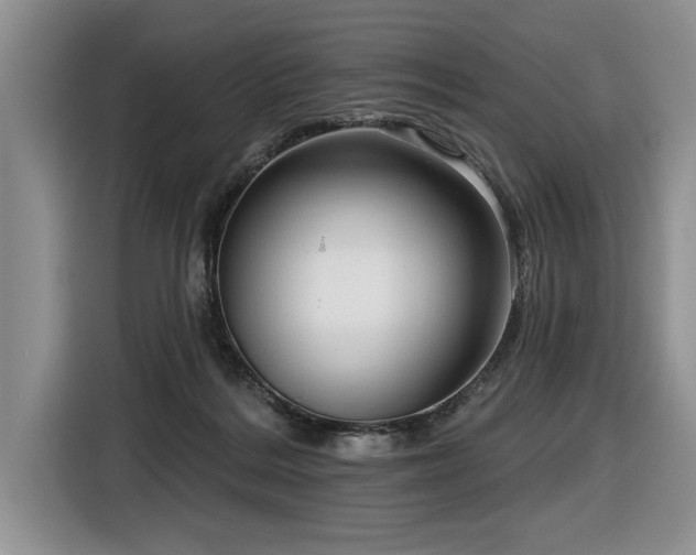 X0000116550220200912101421