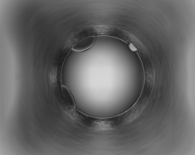 X0000116550221200912101420