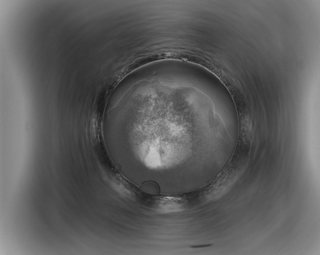 X0000116550222200912101420