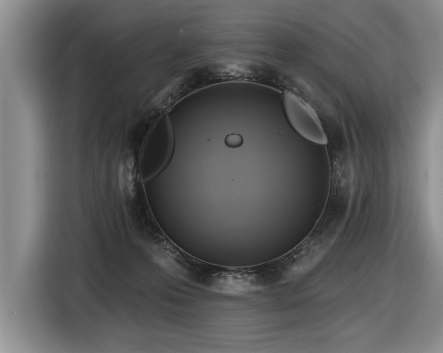 X0000116550223200912101420