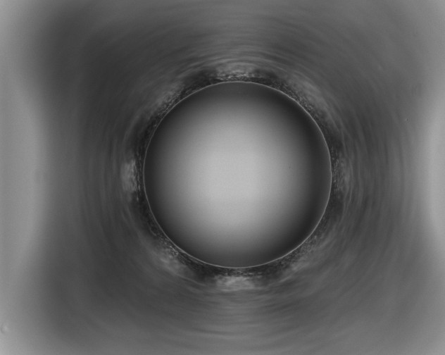 X0000116550224200912101420