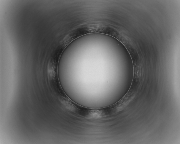 X0000116550226200912101420