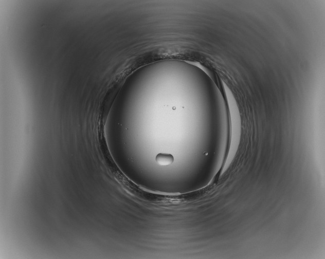 X0000116550227200912101420