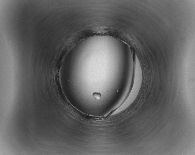 X0000116550229200912101420