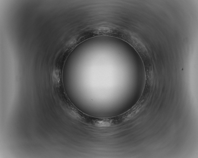 X0000116550232200912101420