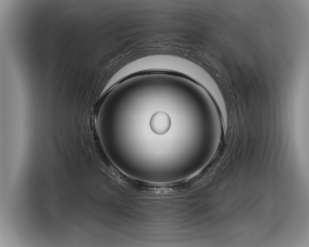 X0000116550233200912101420