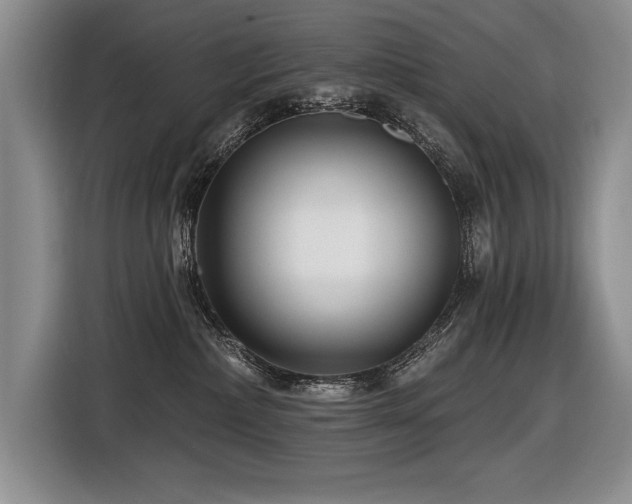 X0000116550236200912101420