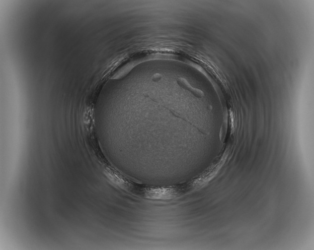 X0000116550237200912101420