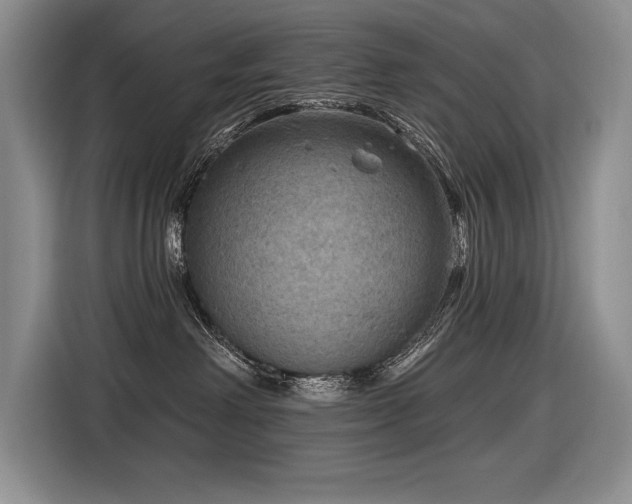 X0000116550238200912101420