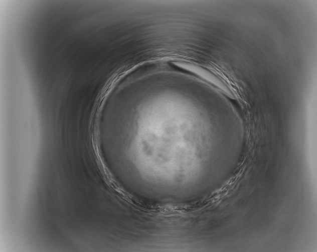 X0000116550241200912101420