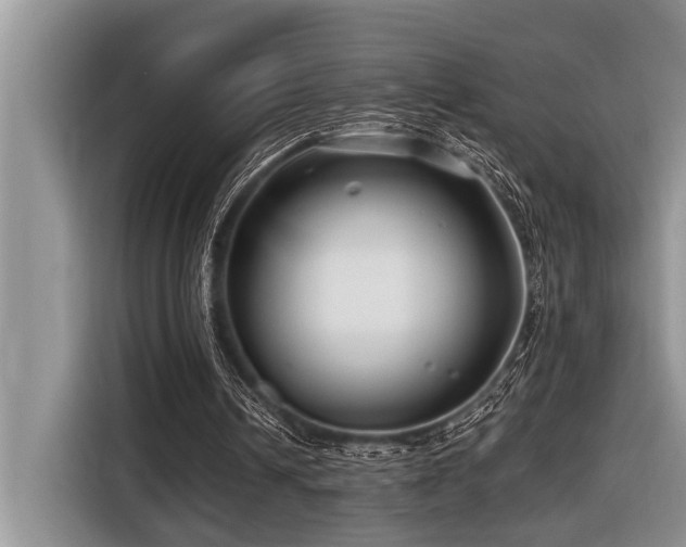 X0000116550242200912101420