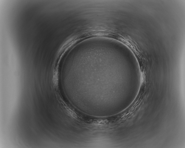 X0000116550243200912101420