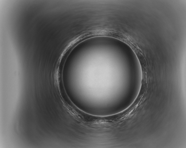 X0000116550244200912101420