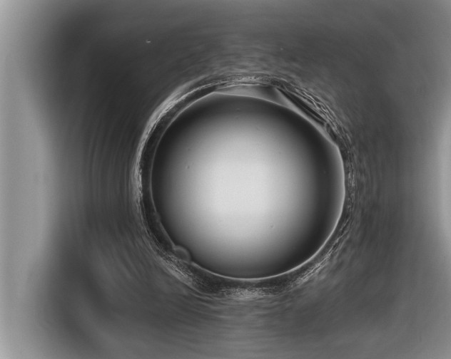 X0000116550246200912101420