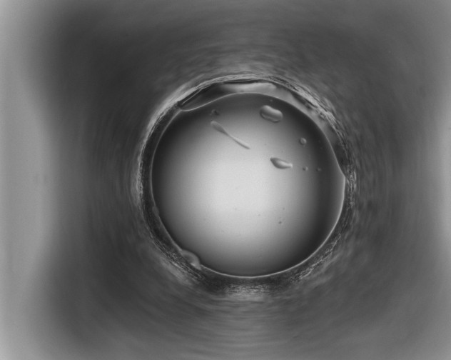 X0000116550248200912101420