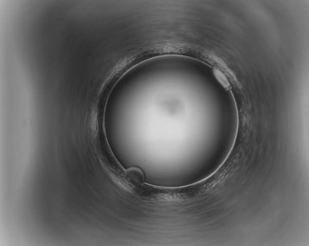 X0000116550250200912101420