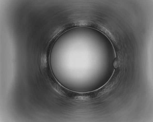 X0000116550251200912101420