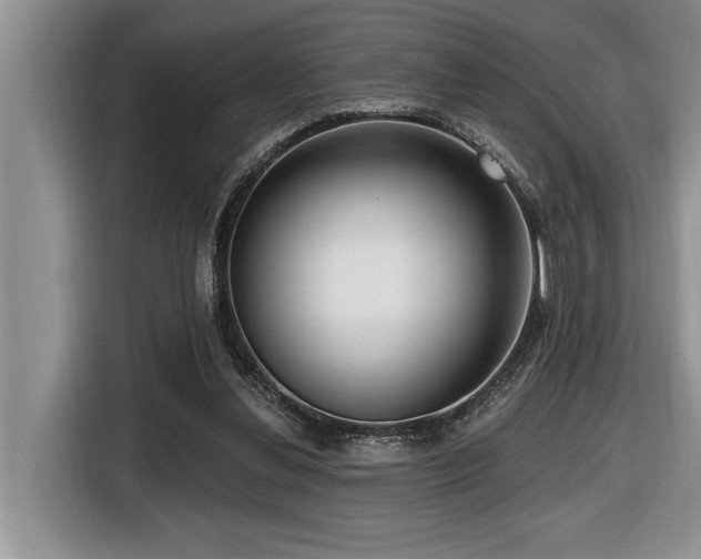 X0000116550252200912101420