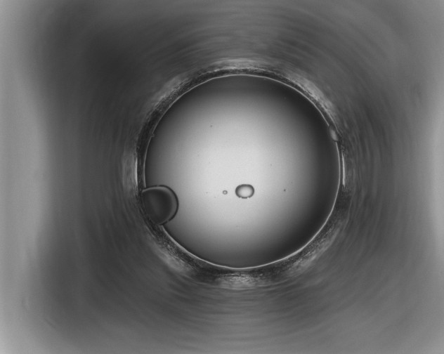 X0000116550253200912101420