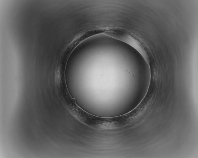 X0000116550256200912101420