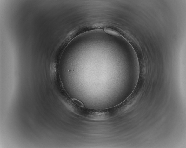 X0000116550260200912101420