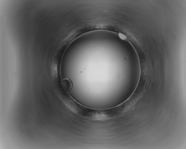 X0000116550262200912101420