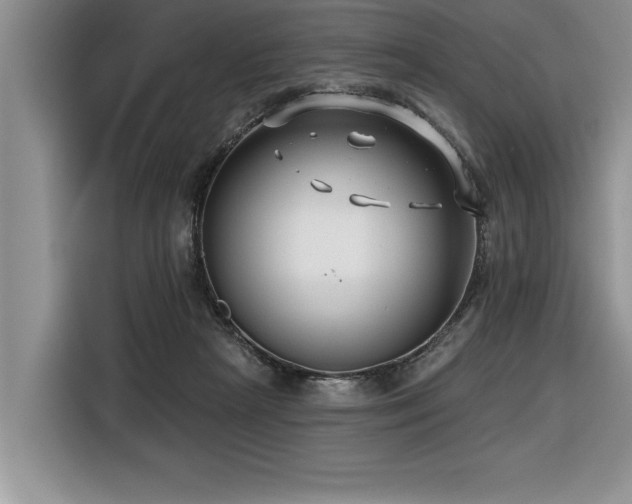 X0000116550265200912101420