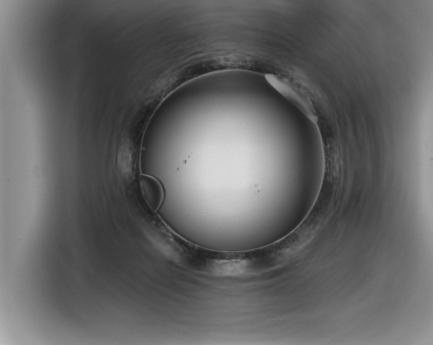 X0000116550266200912101420