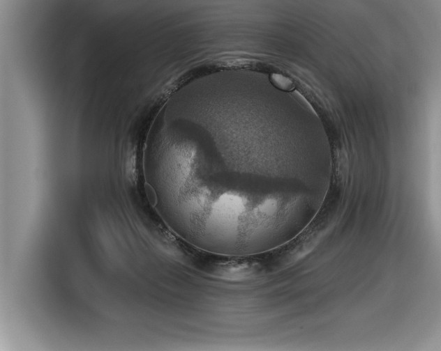 X0000116550267200912101420