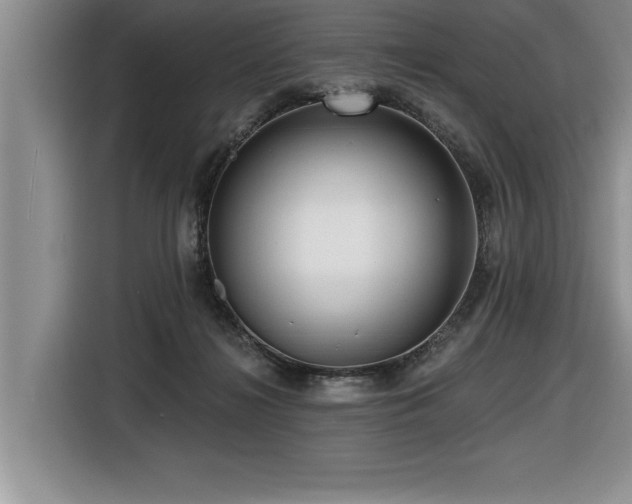 X0000116550268200912101420