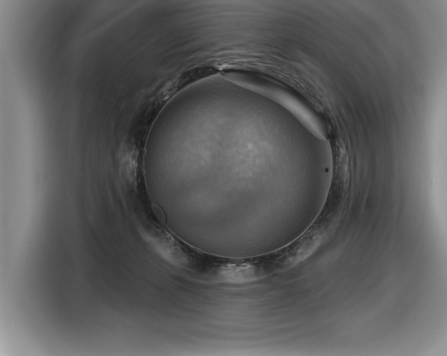 X0000116550271200912101420