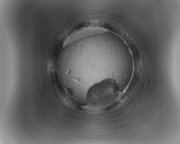 X0000116550272200912101420