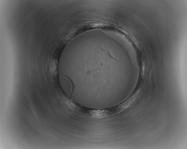 X0000116550273200912101420