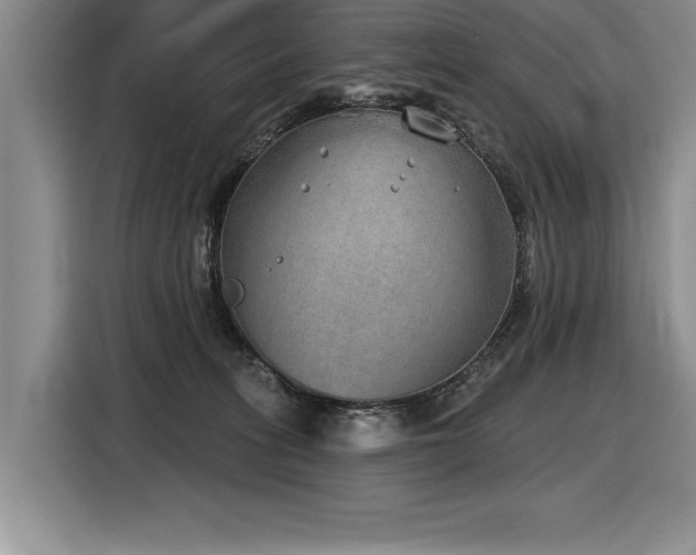 X0000116550275200912101420