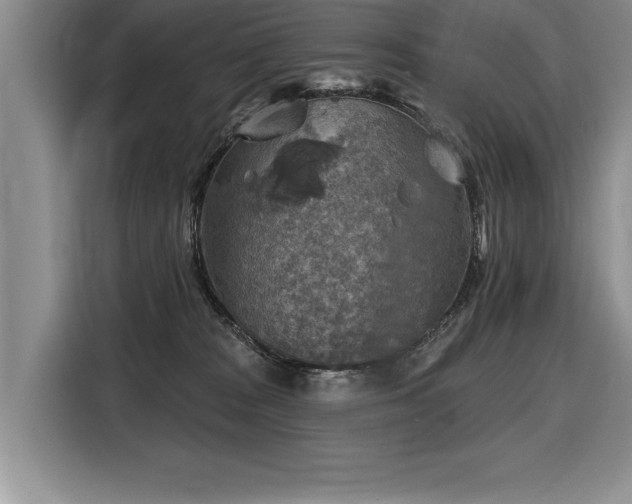 X0000116550277200912101420