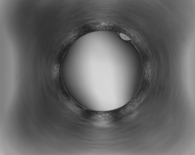 X0000116550278200912101420