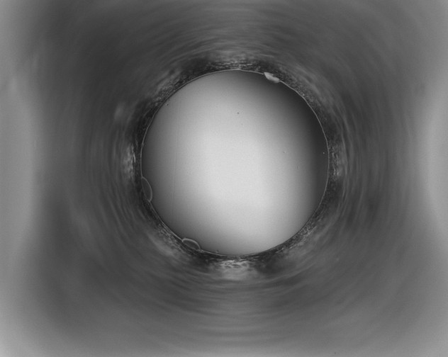 X0000116550279200912101420