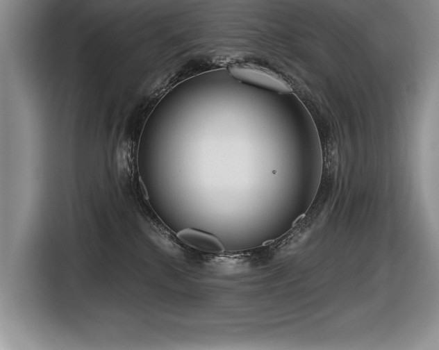 X0000116550280200912101420