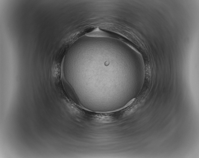 X0000116550284200912101420