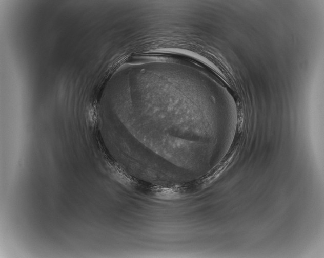 X0000116550285200912101420