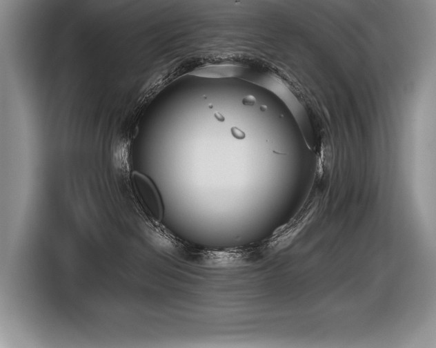 X0000116550286200912101420