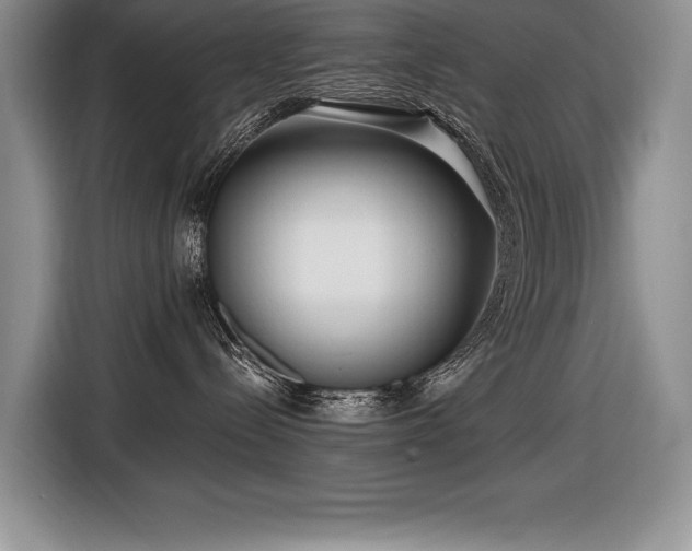 X0000116550288200912101420