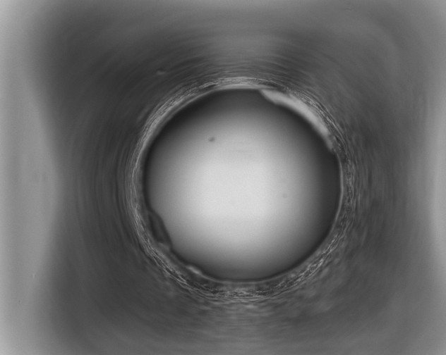 X0000116550289200912101420