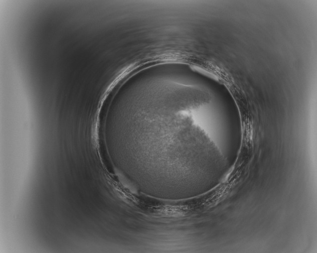 X0000116550292200912101420