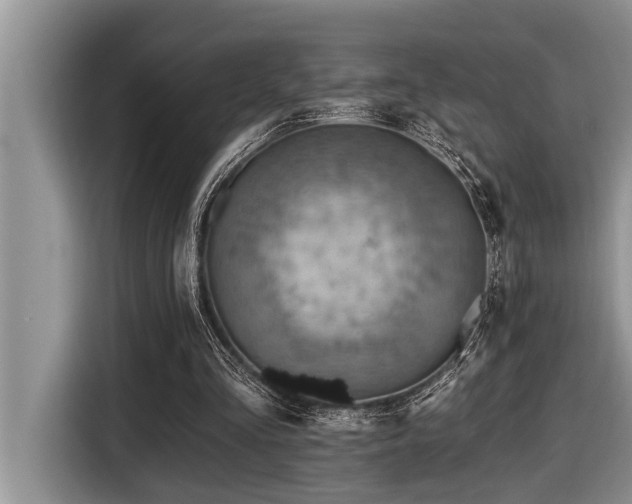 X0000116550293200912101420