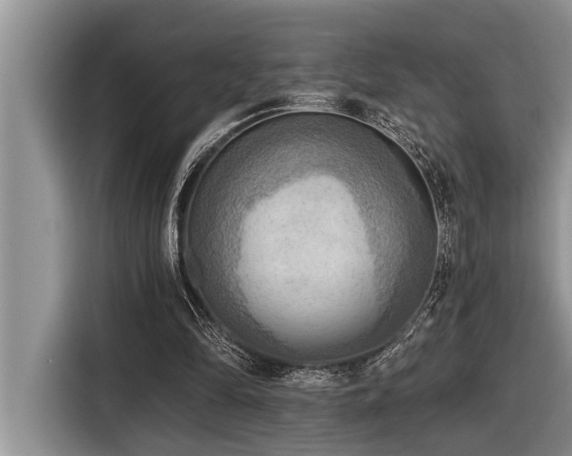 X0000116550294200912101420