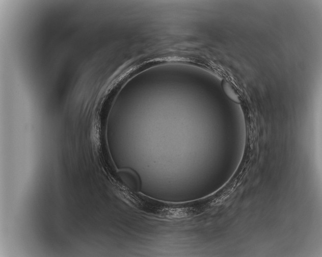 X0000116550295200912101419